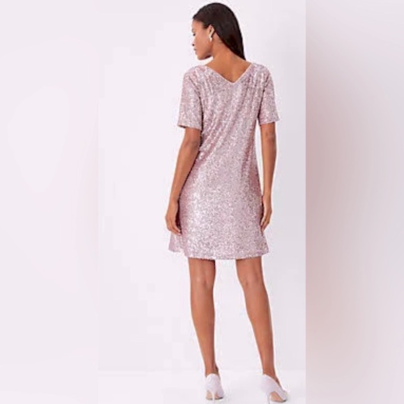 Ann Taylor Short Sleeve Pink Mini Sequin V-Neck Shift Dress - Picture 5 of 9